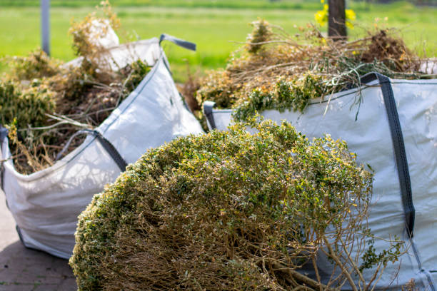 Best Same-Day Junk Removal  in Mill City, OR